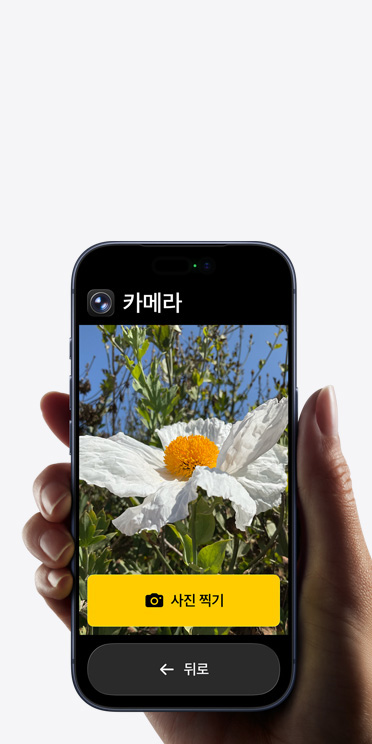 단순화된 카메라 앱 인터페이스에 흰색 꽃을 보여주는 프레임 및 그 아래에 있는 사진 찍기 버튼과 뒤로 버튼이 표시된 iPhone 17 Pro 화면 
