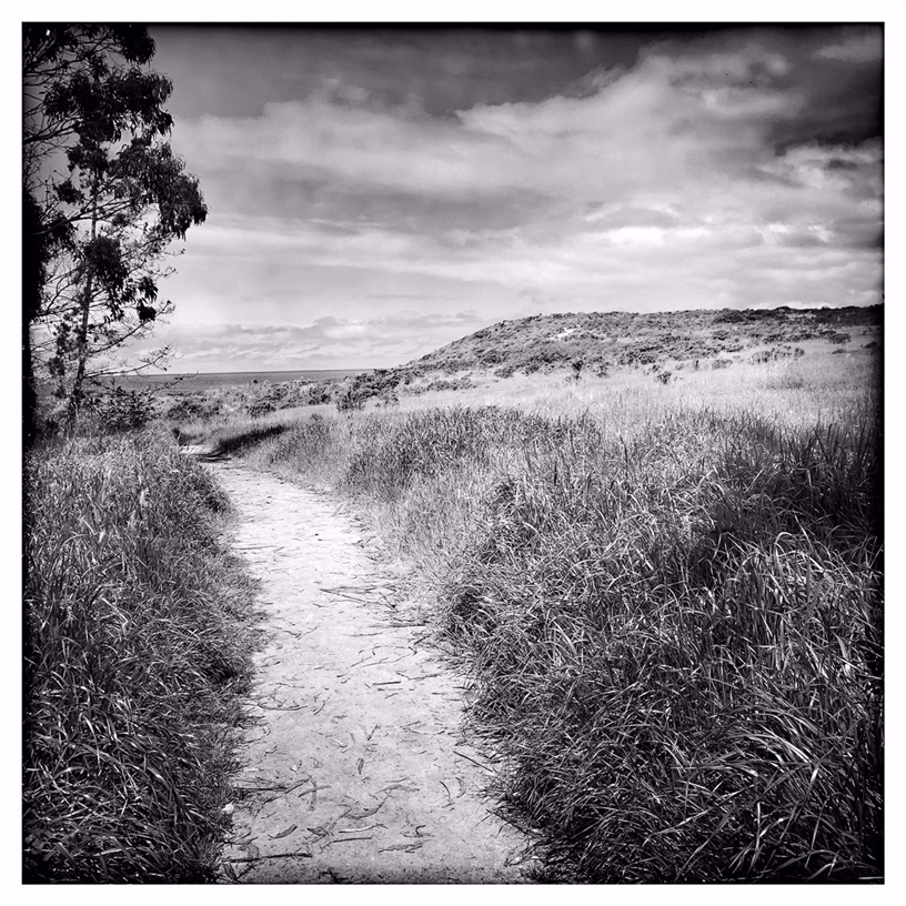 Un sentier à Monastery Beach, capté avec iPhone Xs par Rachael Short.