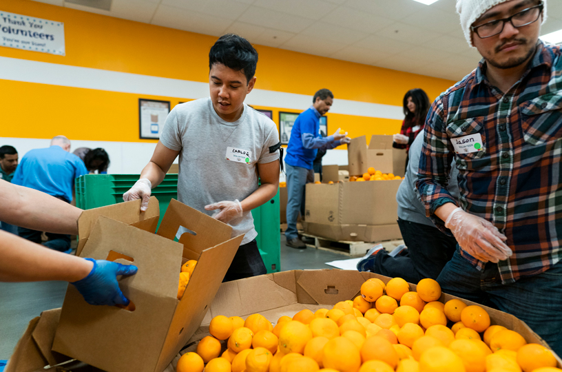 Un jeune homme trie des oranges. 