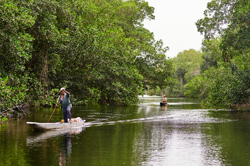Des pêcheurs locaux dans la baie de Cispatá naviguent sur les canaux qui permettent d’entrer dans les mangroves et d’en sortir.