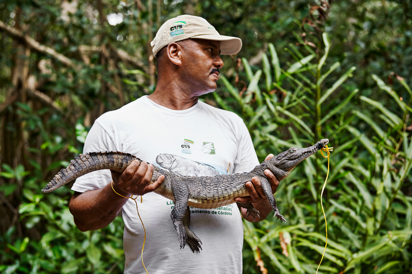 Betsabe López Macias, un ancien chasseur de crocodiles, tient un gavial du Gange, une espèce de crocodile menacée d’extinction.
