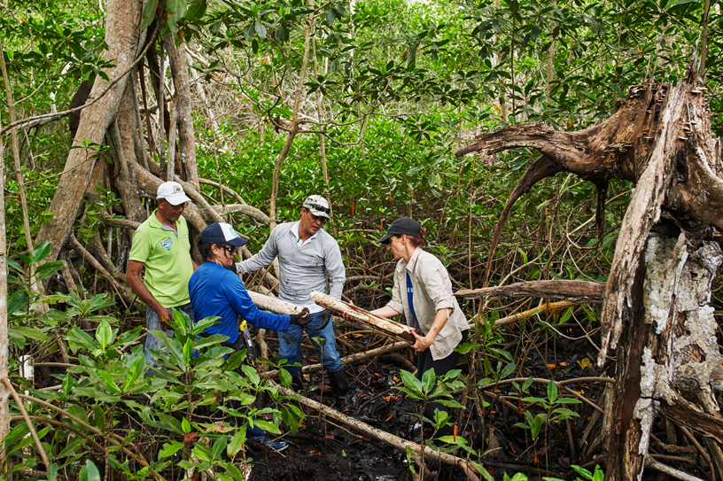 María Claudia Díazgranados Cadelo de Conservation International et une équipe analysent un échantillon de sol.