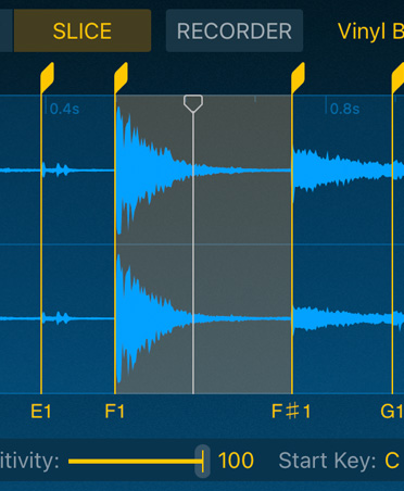 Quick Sampler, คลื่นเสียงสีน้ำเงิน, ปุ่ม Slice และ Recorder